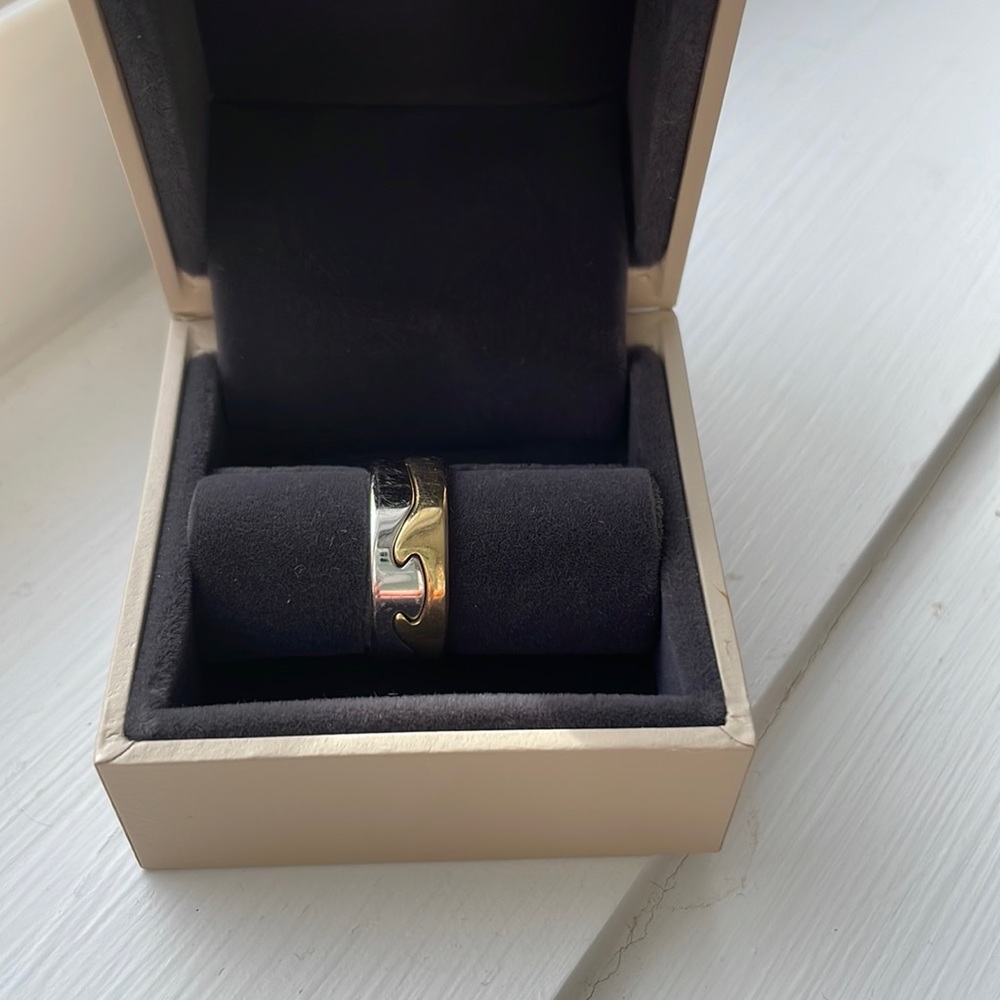 Georg Jensen fusion rings